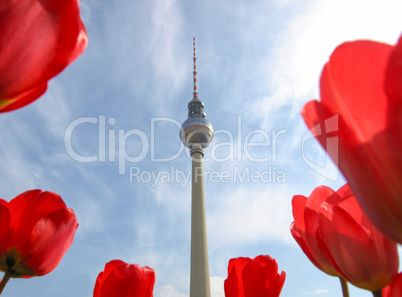 TV Tower, Berlin