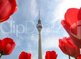 TV Tower, Berlin