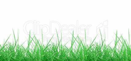 Meadow