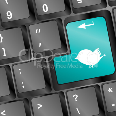 white bird silhouette on computer pc keyboard
