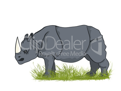 Large rhino