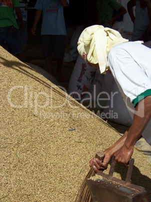 rice dealer in Asia