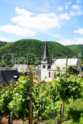 Mesenich an der Mosel