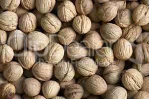 walnuts