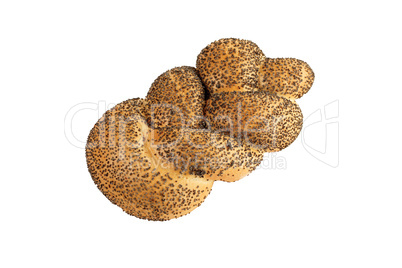 isolated bread isolated bread