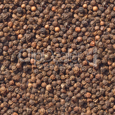 Pepper Pepper