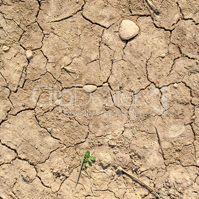 Dry earth