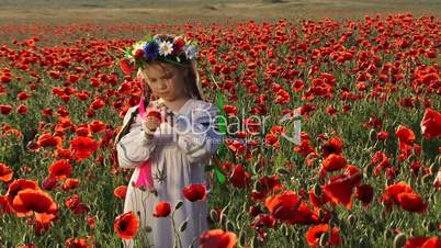 Among blossoming poppies