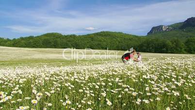 Among blooming chamomile