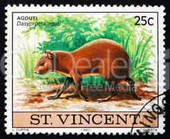 Postage stamp Nicaragua 1980 Agouti, Dasyprocta Aguti, Animal