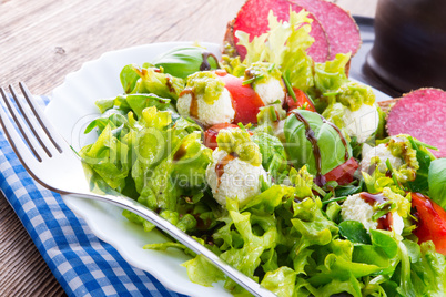 Vegetable salad with cheese