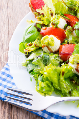 Vegetable salad with cheese