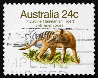 Postage stamp Australia 1981 Tasmanian Tiger, Extinct Animal