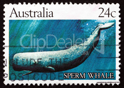 Postage stamp Australia 1982 Sperm Whale
