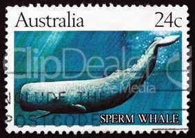 Postage stamp Australia 1982 Sperm Whale