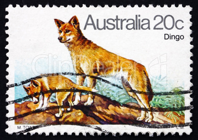 Postage stamp Australia 1980 Dingo, Australian Wild Dog
