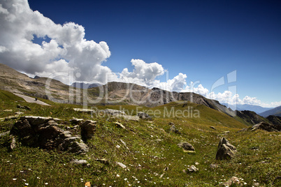 Kräuterwiese in den Alpen