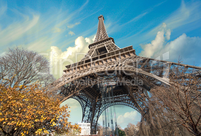 Wonderful street view of Eiffel Tower and Winter Vegetation - Pa