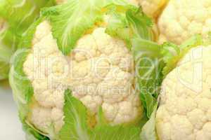 Heads of Cabbage Cauliflower