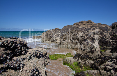 Strand in der Betagne