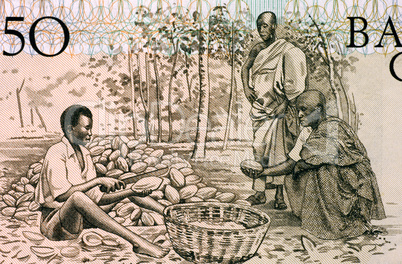 Men Splitting Cacao Pots