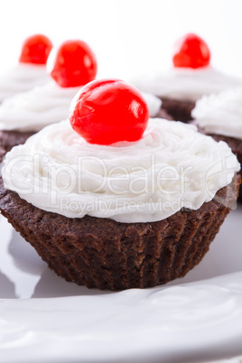 Cupcakes - selective focus