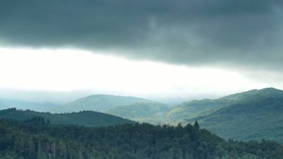 forest and mountains