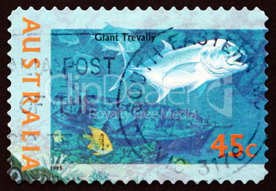 Postage stamp Australia 1995 Giant Trevally, Marine Fish