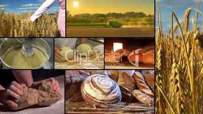 baker montage wheat to bread 10865