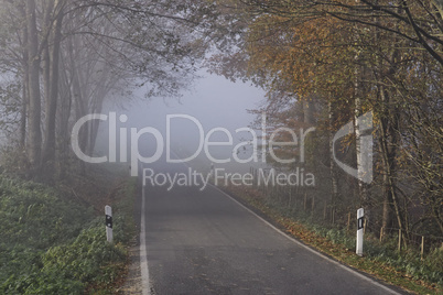 Landstraße im Herbst mit dichtem Nebel, Holperdorp, Nordrhein-Westfalen, Deutschland