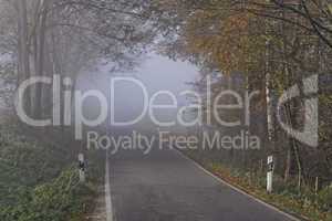 Landstraße im Herbst mit dichtem Nebel, Holperdorp, Nordrhein-Westfalen, Deutschland