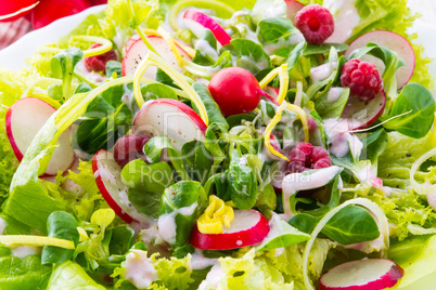 fresh salad