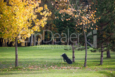 Fall season on a golf course