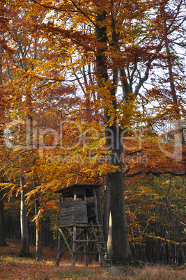 Herbstlandschaft