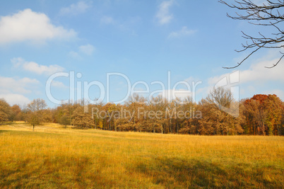 herbstlandschaft