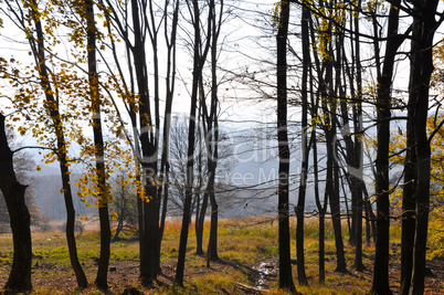 Herbstlandschaft