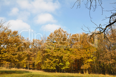 Herbstlandschaft