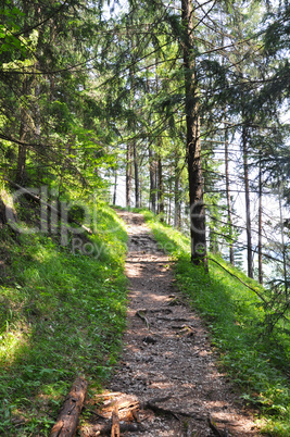 herbstlandschaft