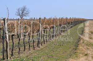 Herbstlandschaft