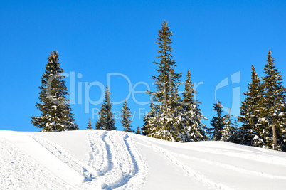 Winterlandschaft