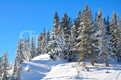 winterlandschaft