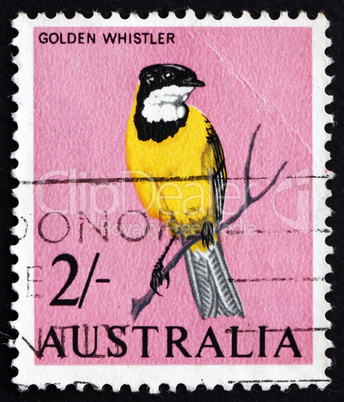postage stamp australia 1963 golden whistler, bird