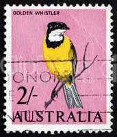 postage stamp australia 1963 golden whistler, bird