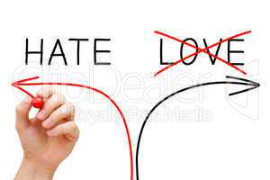 Hate or Love