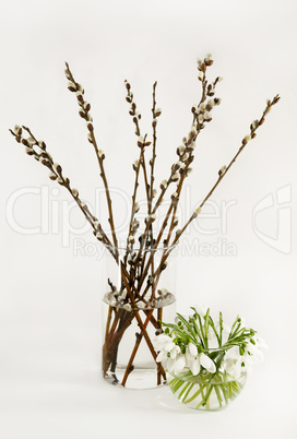 Still Life with bouquets of willow and snowdrops