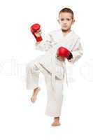 Child boy in kimono training karate