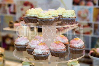 Cupcakes served in a pastry shop