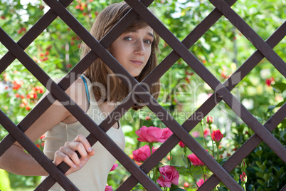 Teenage girl behind a wooden fence