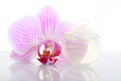 Perfume bottle and orchid flower