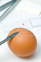 Lebensmittelkontrolle bei Eiern